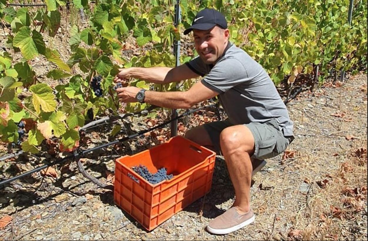 Português tem produção de vinhos e de azeite