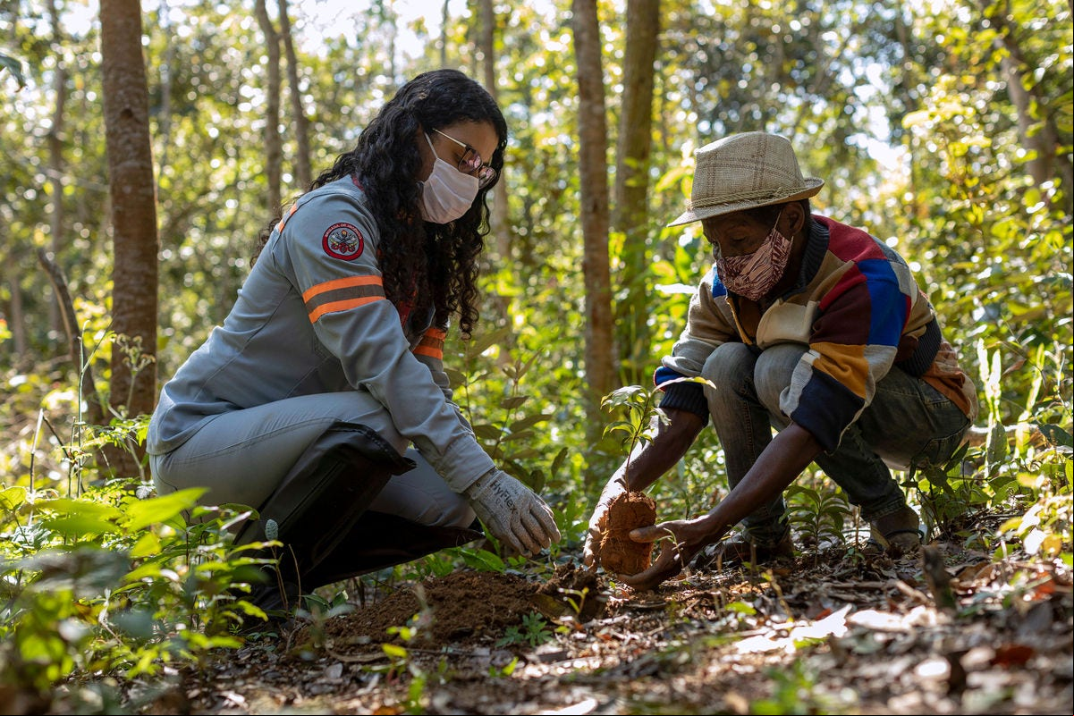 Conceicao do Mato Dentro_MG, 16 de junho  de 2021. 

AngloAmerican - Projeto Biodiversidade

Na imagem, a fazenda da Bocaina

Imagem: NITRO Historias Visuais